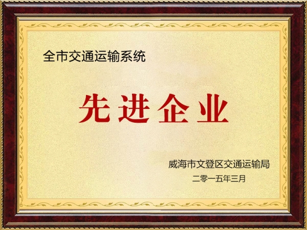 全區(qū)交通運(yùn)輸系統(tǒng)先進(jìn)企業(yè)